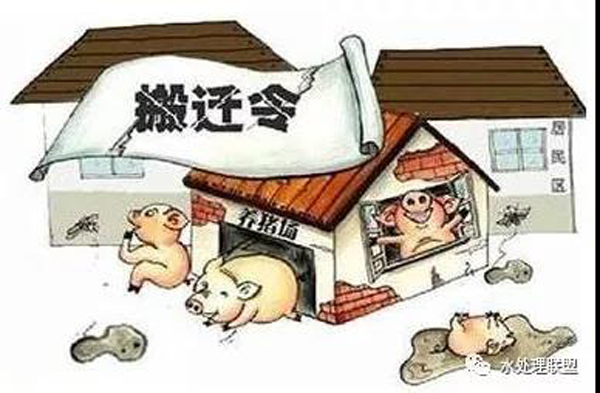 養(yǎng)殖場(chǎng)收到環(huán)保整改通知書該怎么辦？關(guān)于畜牧養(yǎng)殖的環(huán)保法律